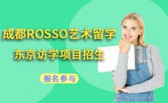 RoSSo国际艺术留学成都ROSSO艺术留学东京访学项目火爆招生中！