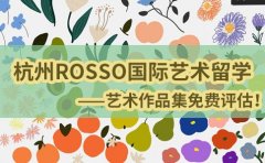 RoSSo国际艺术留学杭州ROSSO艺术作品集免费评估！点击关注！